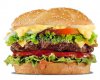 istockphoto_8906736-hamburger-isolated.jpg