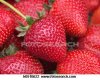 big-ripe-strawberry_~k0510622.jpg