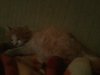 2015-03-12 02.39.53.jpg
