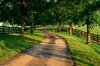 beautiful-forest-path-background-picture-new-best-hd-wallpapers-of-forest.jpg