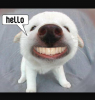 2015-05-15 10.49.07.png