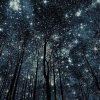 Screenshot_2015-05-28-15-12-18-1.png