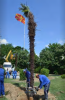 wp_ss_20150530_0001.png