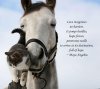 quote  (32).jpg