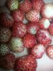 20150531_184701.jpg