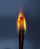 Fire_Love.jpg