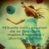 FB_IMG_1434212516317.jpg