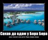 bora.jpg