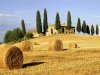 Tuscany-(Italy).jpg
