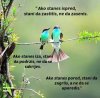 FB_IMG_1434912792567.jpg