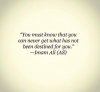 FB_IMG_1434745015064.jpg