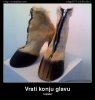 vrati-konju-glavu.jpg