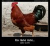 ko-rano-rani.jpg
