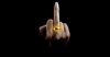 upload_2015-7-13_15-24-37.jpeg