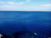 IMG_20150716_104648.JPG