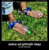 FB_IMG_1437780646897.jpg