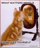funny-pictures-self-esteem-cat.jpg