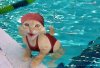 omiljeni-sport-kupanje.jpg