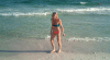 giphy (1).gif