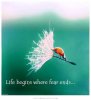 life-beings-where-fear-ends-quote-1.jpg