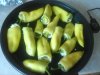 IMG_20150807_135416.jpg