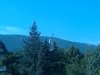 IMG_20150808_094718.jpg