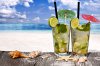 mojito_cocktail_beach_seashells_drink.jpg