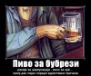 pivo.jpg