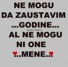 FB_IMG_1440420894959.jpg