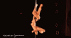 tumblr_mh9oapCF1a1qhtg3no1_400.gif