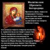 FB_IMG_1440753869425.jpg