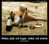 neko-pije-od-tuge-nek.jpg