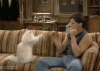 giphy (1).gif