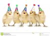 gelbe-baby-k%C3%BCken-die-alles-gute-zum-geburtstag-singen-40152838.jpg