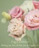 card-for-women-04.jpg