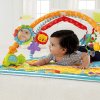 CDN48-wigglin-play-gym-d-2.jpg