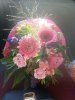 20150910_092148.jpg