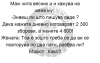maz.png