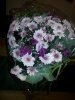 20150913_202036.jpg
