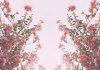 beautiful-flower-garden-nature-pink-plant-Favim.com-60315.jpg