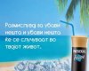 FB_IMG_1442965397210.jpg