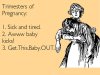 trimesters2_600x450.jpg
