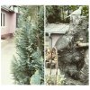 PhotoGrid_1444048380819.jpg