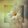 InstaShot_20150804_215254.jpg