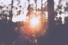 upload_2015-10-12_0-13-41.png