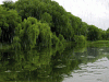 1178b04cb63dae9f4a1bf9733749923d.gif