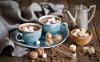 hot-chocolate-mugs-coffee-beans-marshmallows.jpg