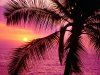 pink_sunset-4593.jpg