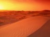 desert-sunrise-wallpapers_10550_1024x768.jpg