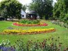 hungary-tata-park-with-flowers.jpg